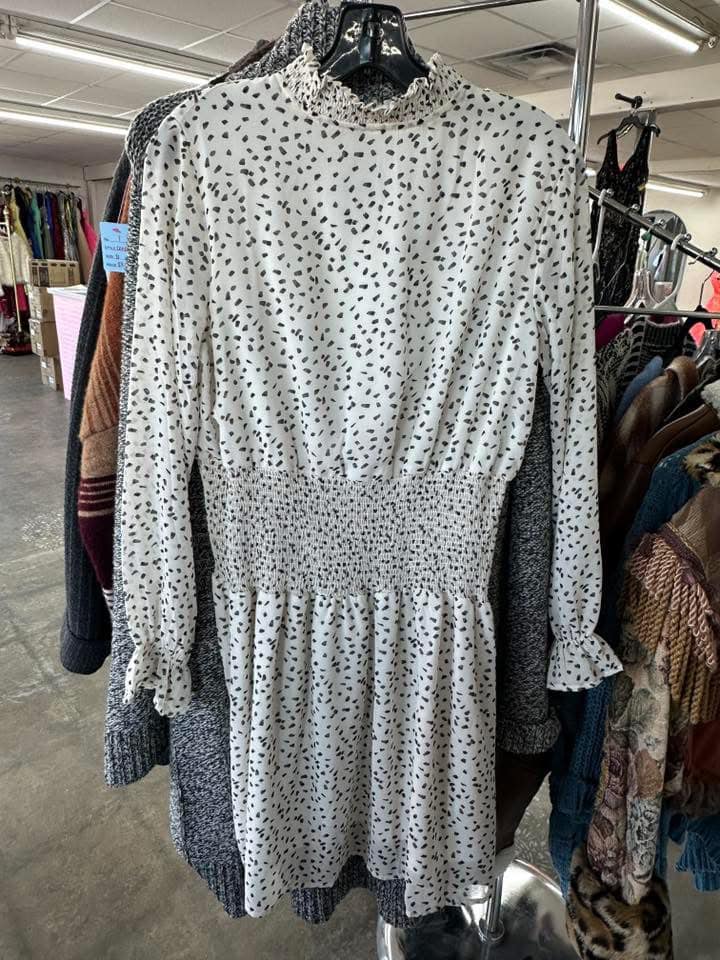 Small Dalmatian Dress