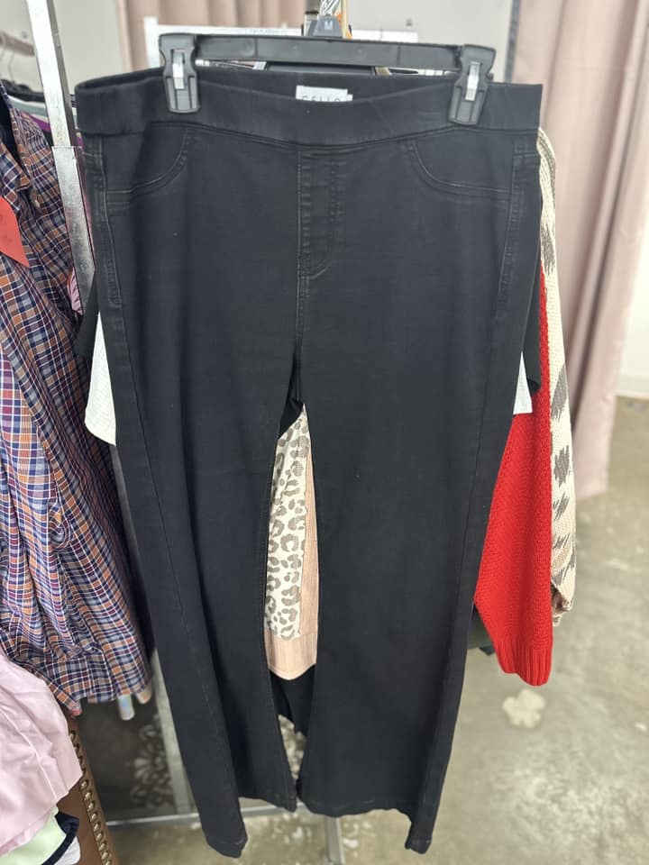 Xl Cello Jeans